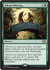 Sylvan Offering