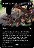 United Battlefront (Borderless)