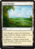 Vivid Meadow
